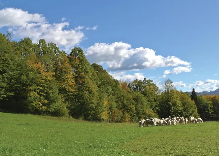 4 Bedroom Lovely In Kostel Semesterbostad Kupa