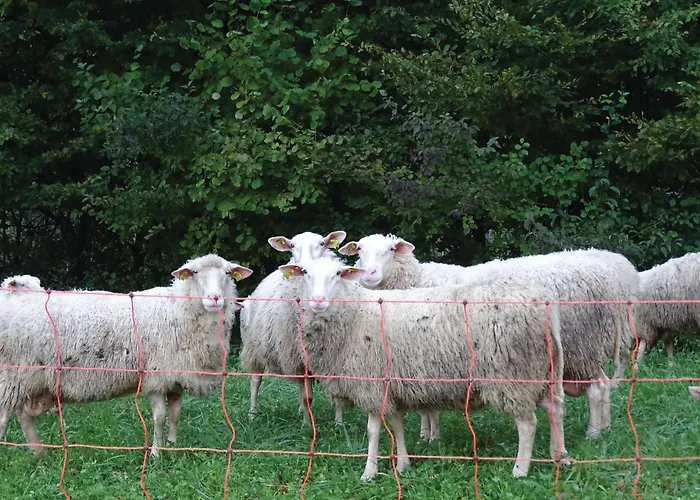 4 Bedroom Lovely In Kostel